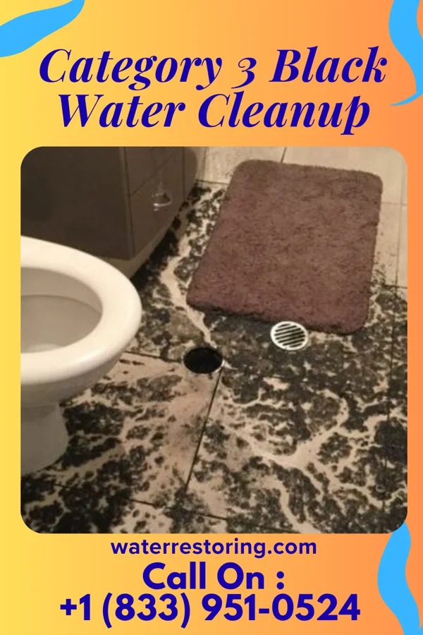 Category 3 Black Water Cleanup in Stockton, NJ