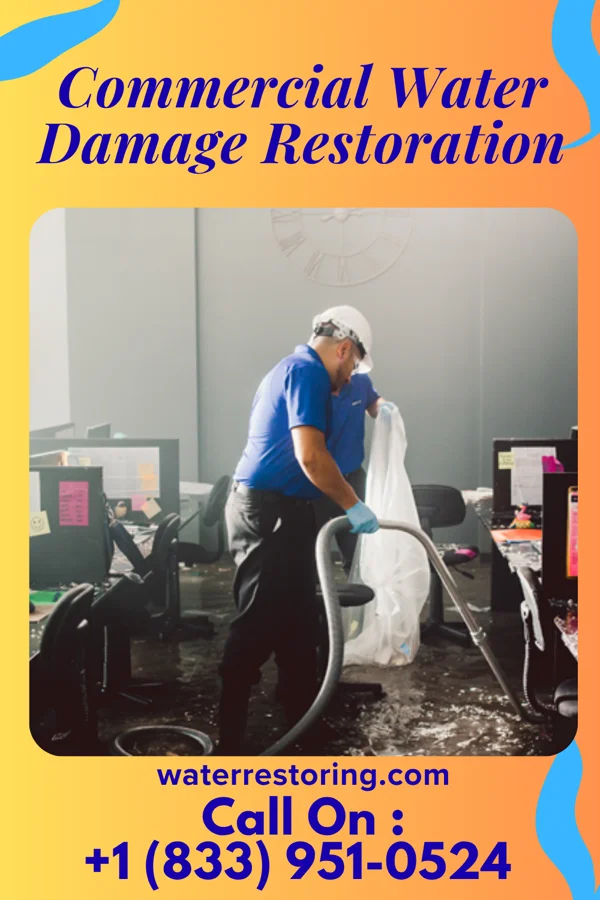 Commercial Water Damage Restoration in Stockton, NJ