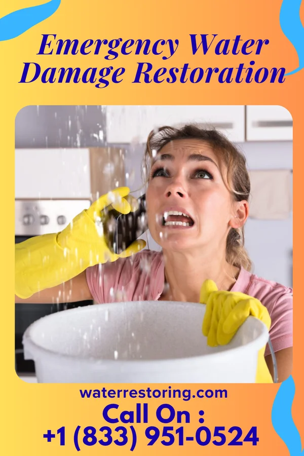 Emergency Water Damage Restoration in Stockton, NJ