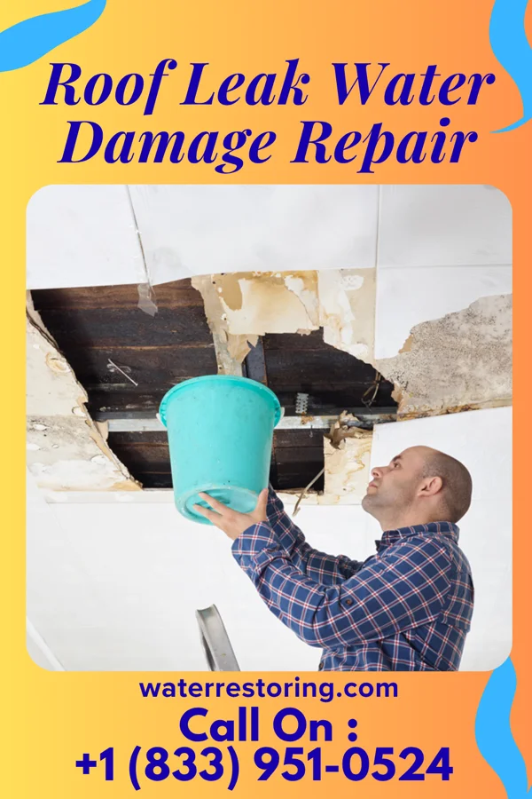 Roof Leak Water Damage Repair in Stockton, NJ