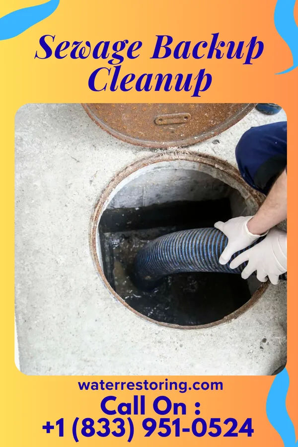 Sewage Backup Cleanup in Stockton, NJ