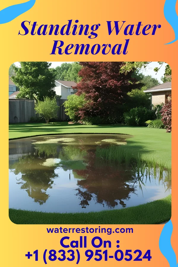 Standing Water Removal in Stockton, NJ